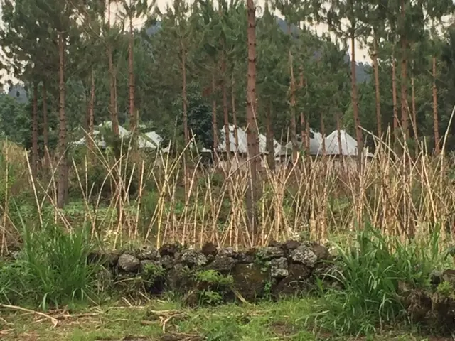Ifoto igaragaza inzu ziri ku butaka, hamwe n'ibihingwa