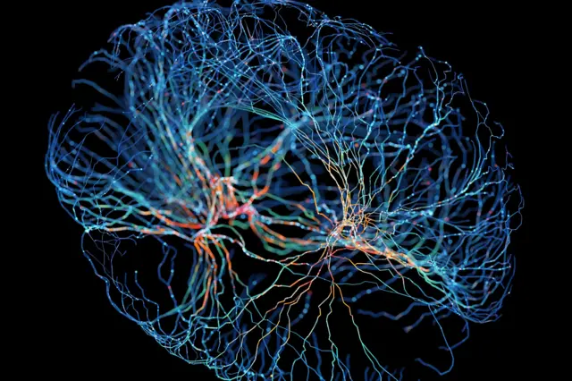 Ilustração do sistema de neurônios cerebrais