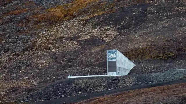 Jalan masuk ke Bank Benih Dunia di Slalbard, Norwegia.