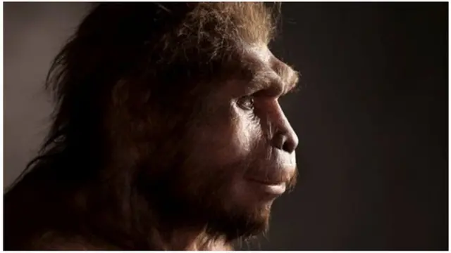 ሆም-ሰፔን (ጥንታዊ ሰብ)