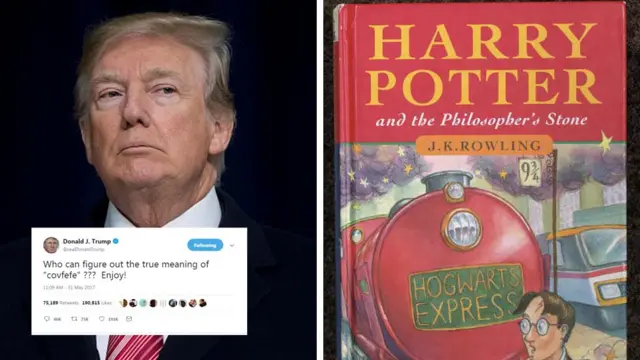 Donald Trump and Harry Potter book