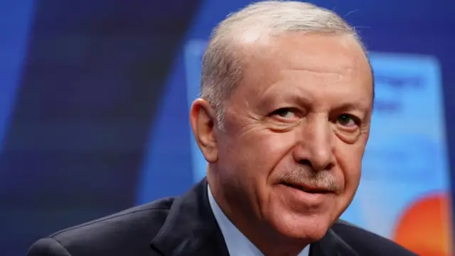 Turkey's President Erdogan looks at the camera