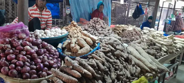 कालीमाटी बजारमा राखिएका तरुल