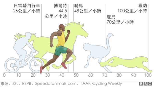Bolt vs animals and cyclist