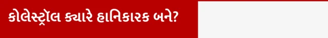 બીબીસી ગુજરાતી ચરબી ફેટ કોલેસ્ટ્રૉલ હૃદયરોગ હાર્ટ એટેક આરોગ્ય બીમારી ફાઈબર