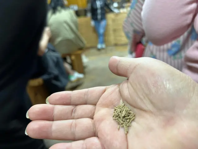 สมุนไพรกระดูกม้า