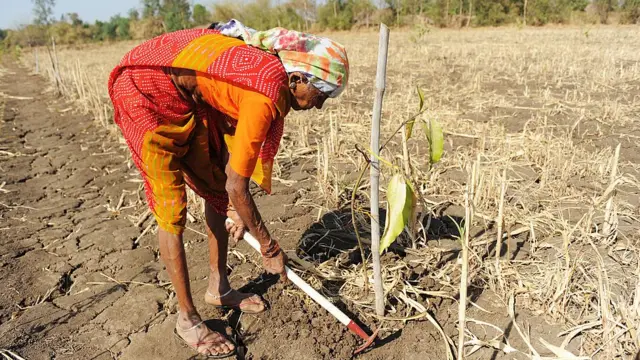 ખેડૂત મહિલા
