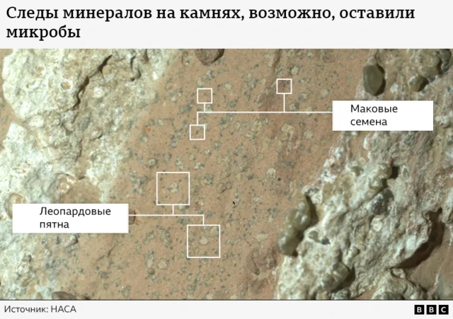 Графическое изображение крупным планом скал на Марсе