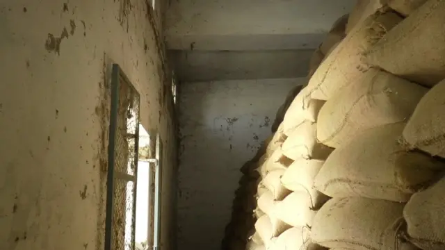 گندم