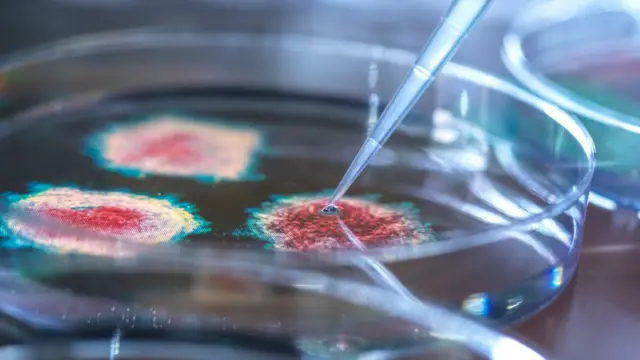 கொரோனா வைரஸ்