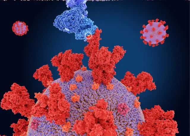 ગુરુવારના રોજ ભારતમાં કોરોના વાઇરસના વૅરિયન્ટ ઓમિક્રૉનના કુલ કેસોની સંખ્યા 300ને પાર પહોંચી છે