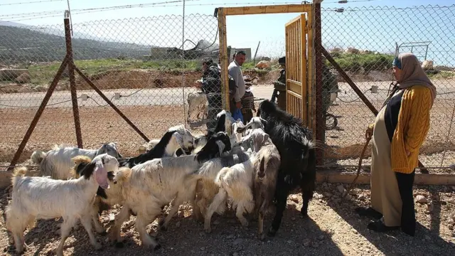 Puerta de acceso para el ganado