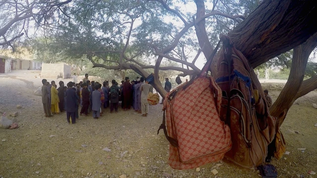 پاکستان، سکول