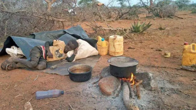 Daa'ima kophaasaa nyaata abiddarra jiru bira ciisu