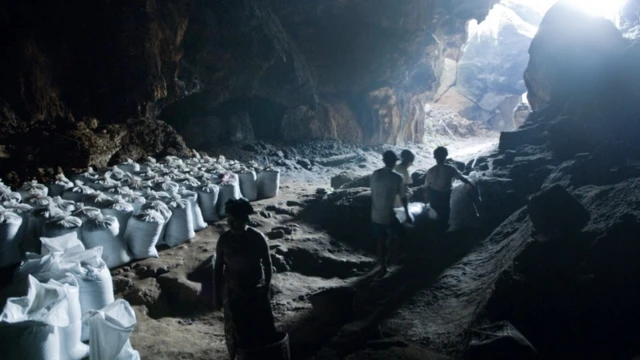 ชาวบ้านในรัฐกะเหรี่ยงของเมียนมาหารายได้จากการเก็บมูลค้างคาวในถ้ำ