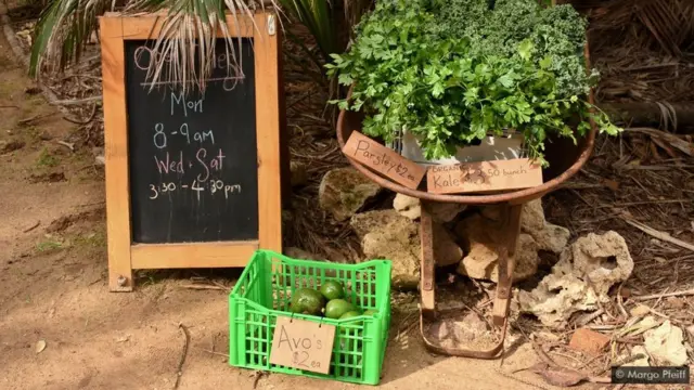 Barraca que vende frutas e verduras à beira da estrada