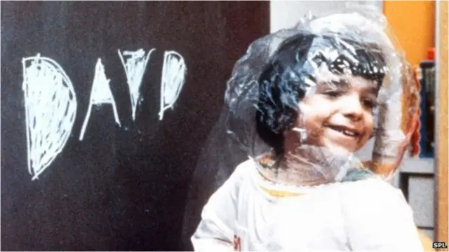 డేవిడ్ వెటర్