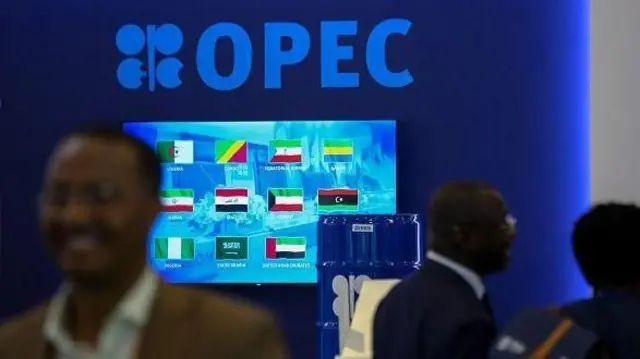 ஐக்கிய அரபு அமீரகத்தின் இணையதளமான '71' ஆனது, OPEC-இன் உள்ளே இருக்கும் வேறுபாடுகள் மற்றும் பதற்றமான சூழல், ஐக்கிய அரபு அமீரகம் மற்றும் சவுதி அரேபியாவுக்கு இடையேயான கூட்டணிக்கு அச்சுறுத்தலை ஏற்படுத்துவதாகக் கூறுகிறது.
