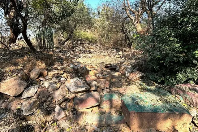 दिल्ली का संजय वन क्षेत्र