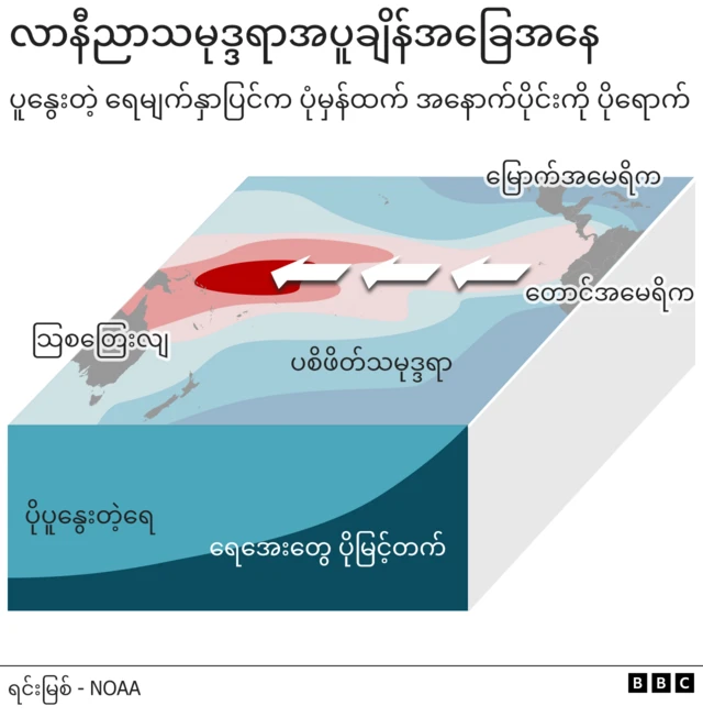 သြစတြေးလျကနေ ပါပူအာ နယူးဂီနီအထိဆန့်ပြီး အမေရိက အလယ်ပိုင်းနဲ့ တောင်ပိုင်းက အနောက်ဘက်ကမ်းခြေအထိ ရှည်လျားတဲ့ ပစိဖိတ်သမုဒ္ဒရောမျက်နှာပြင်ပေါ် ပိုနွေးတဲ့ သမုဒ္ဒရာရေစီးကြောင်းဟာ ပုံမှန်ထက် အရှေ့ကို ပိုသွားတာကို ပြတဲ့ လာနီညာ အခြေအနေ အချက်အလက်ရုပ်ပြ
