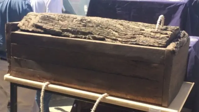 மங்கோ மேன்