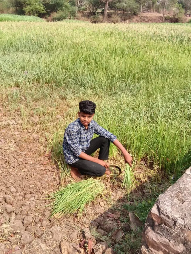 ખેતીનું કામ કરીને ભણતો રોહિત