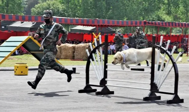 ભારતીય સેનામાં શ્વાનો