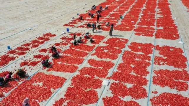 అల్ట్రా ప్రాసెస్డ్ ఫుడ్