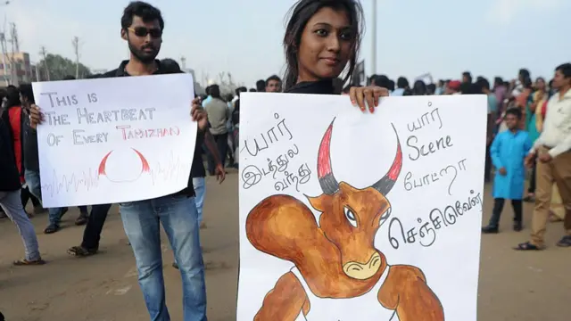 ஜல்லிக்கட்டு போராட்டம்