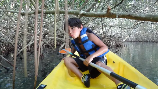 Arroyo en el departamento de Bolívar, Colombia.