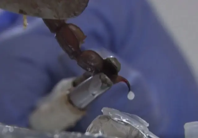 Otu nta nsi akpị dị ezigbo ọnụ ruru ndekwuru nde dọla