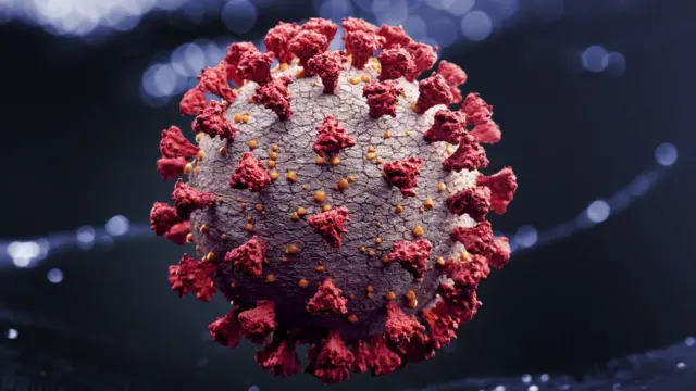 கொரோனா வைரஸ்
