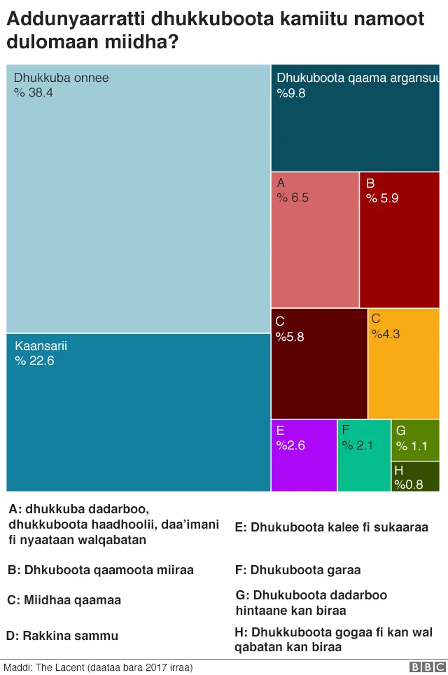 dhukkuboota umuriin namoota miidha