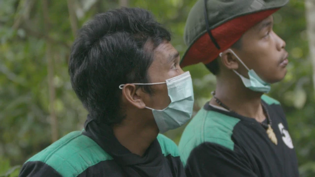 Gibbon Monitoring Unit