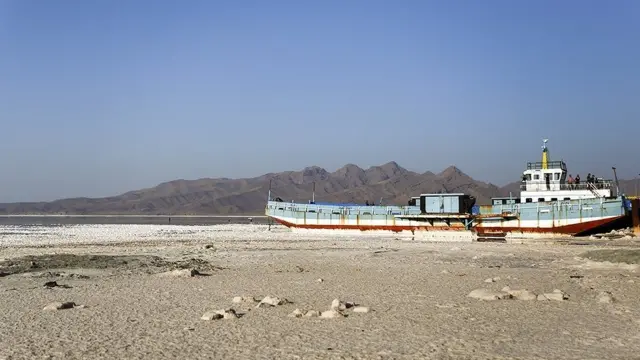 آرتیمیا در دوران گیر افتادن در خشکی