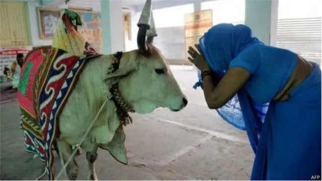 হিন্দু ধর্মে গরুকে দেবতা হিসাবে দেখা হয়।