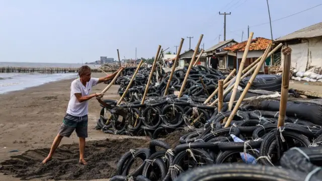 Penduduk desa melakukan pemeliharaan pada tanggul untuk memperlambat laju kenaikan air laut yang berdampak pada desa mereka di Pantai Pisangan, Desa Cemarajaya, Kabupaten Karawang, Jawa Barat.