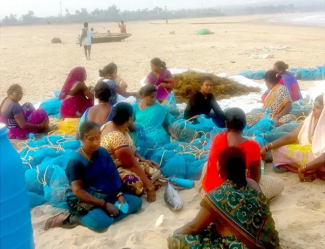 సీవీడ్ సాగులో ఉపాధి పొందుతున్న మహిళలు