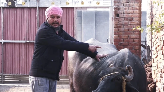 ਜ਼ੀਰਾ ਫੈਕਟਰੀ