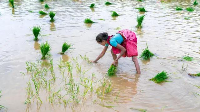 வெள்ளம்