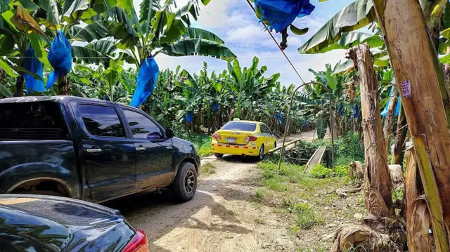 Vehículos circulan por plantaciones bananeras pertenecientes a la filial de la bananera estadounidense Chiquita Brands en Bocas del Toro