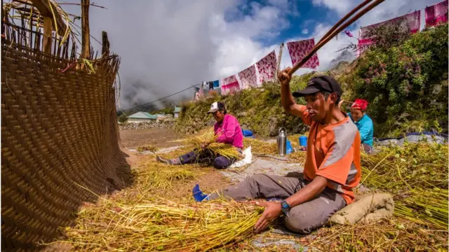 নেপালে ঢেমশি প্রক্রিয়াজাত করার দৃশ্য।
