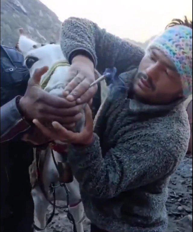 खच्चर को सिगरेट पिलाते लोग