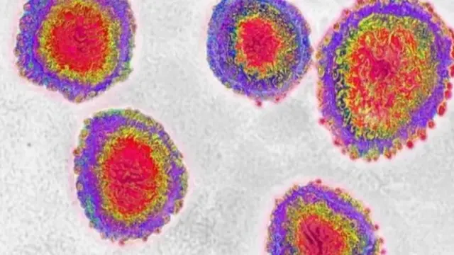 করোনাভাইরাসের গঠন ও চরিত্রে পরিবর্তন ঘটছে।