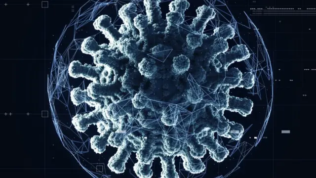 கொரோனா வைரஸ் - கோப்புப் படம்