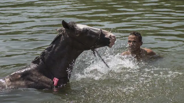 Ọkunrin ara Egypty ati ẹsin rẹ bẹ sinu odo nla kan lati tura lọwọ ooru