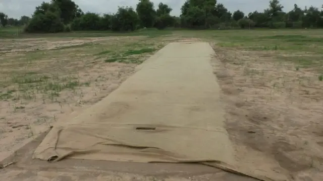 ક્રિકેટની પીચ