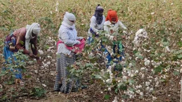 அமெரிக்கா - வங்கதேசம் வர்த்தக ஒப்பந்தம், இந்தியா