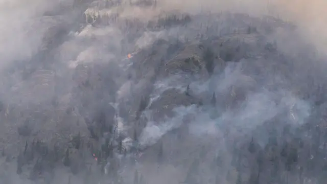 जंगल में आग.