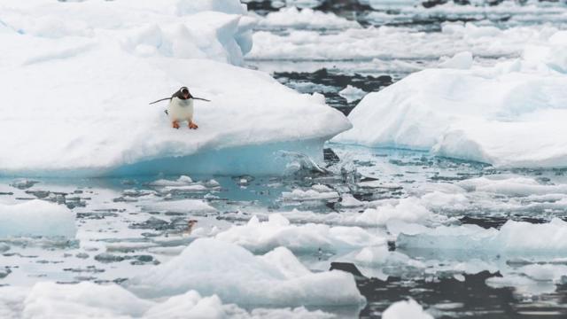 Прибережні льодовики в Антарктиці швидко втрачають масу